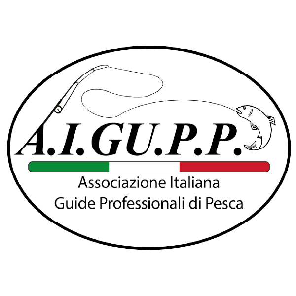 gcecchin_partenr_logo_aigupp_1